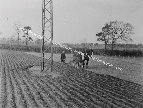 PLOUGHING WITH HORSES; ESB PLYON